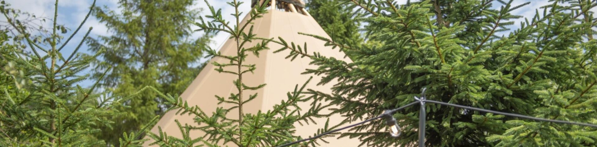 Lancashire Mind Wellbeing Away Days at the Bowland Tipis